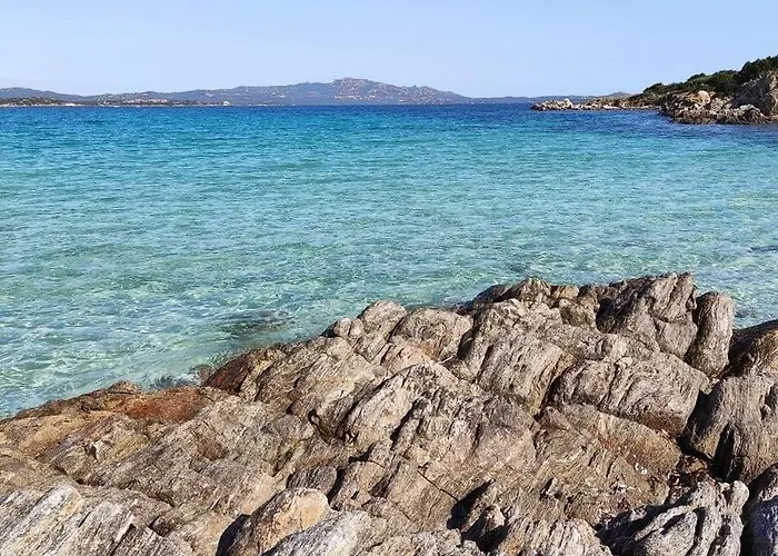 Coralli 8 - Sole Ruju