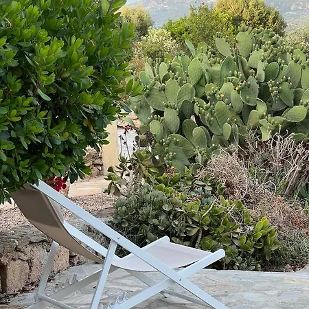 Tatil Evi Coralli 8 - Sole Ruju *